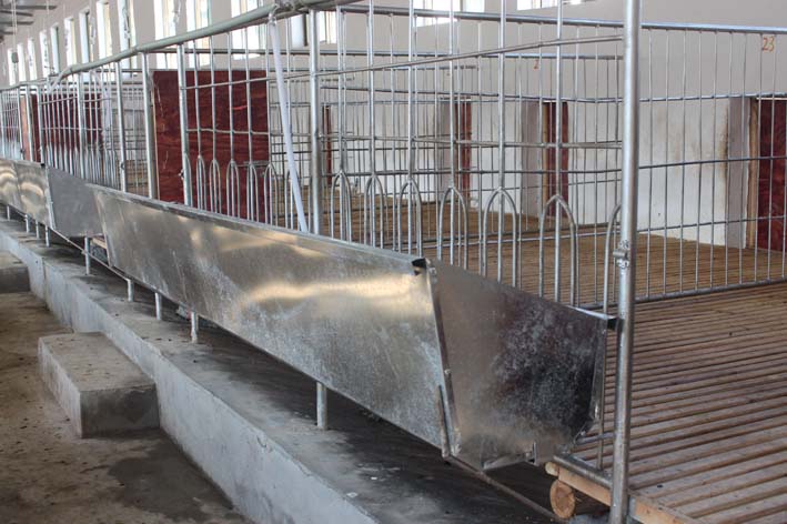 標準化羊舍圍欄